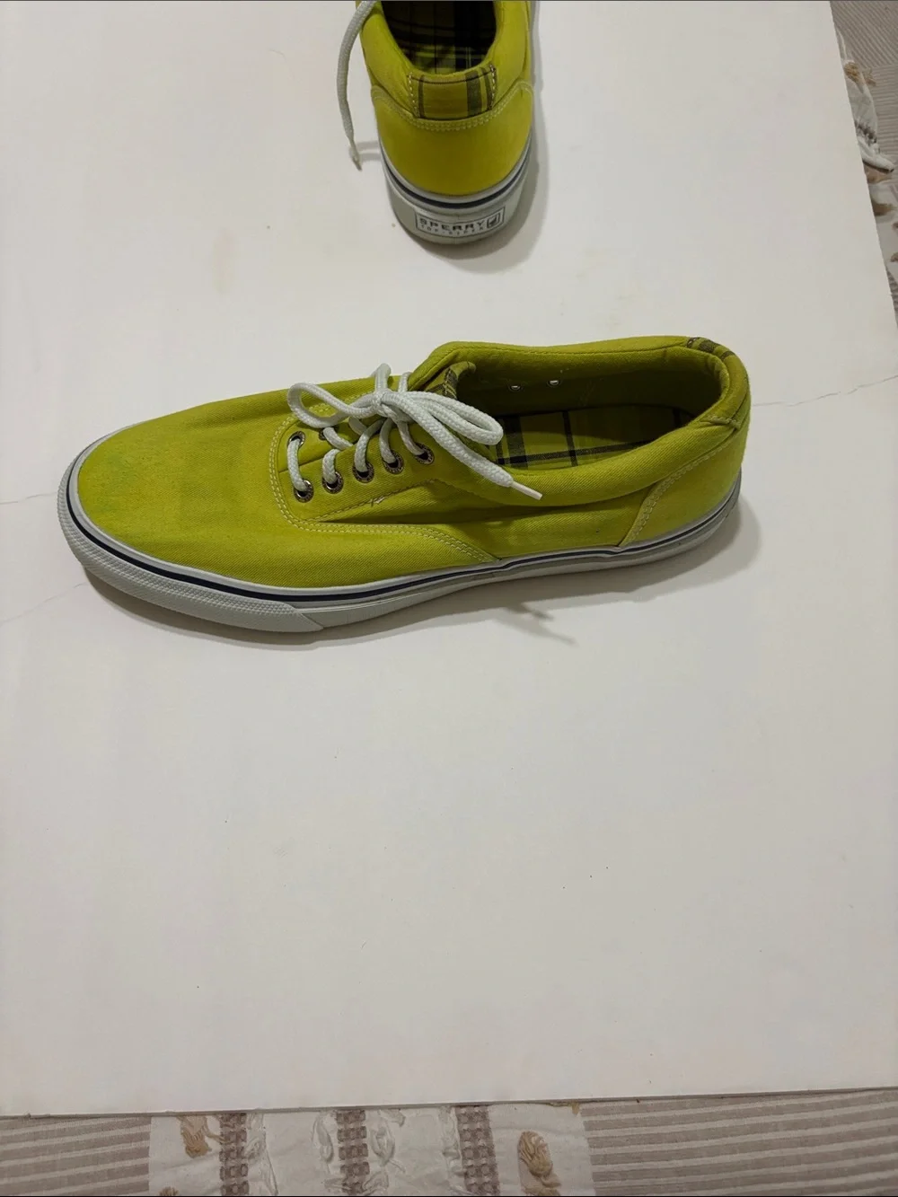 Sperry casual canvas